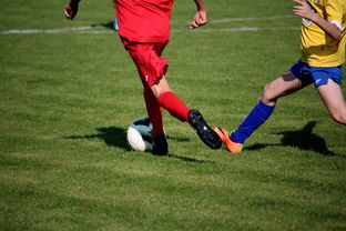 Kaiyun(中国)开云-国家队与俱乐部之间协调机制为何不顺畅，国家队比赛和俱乐部比赛冲突